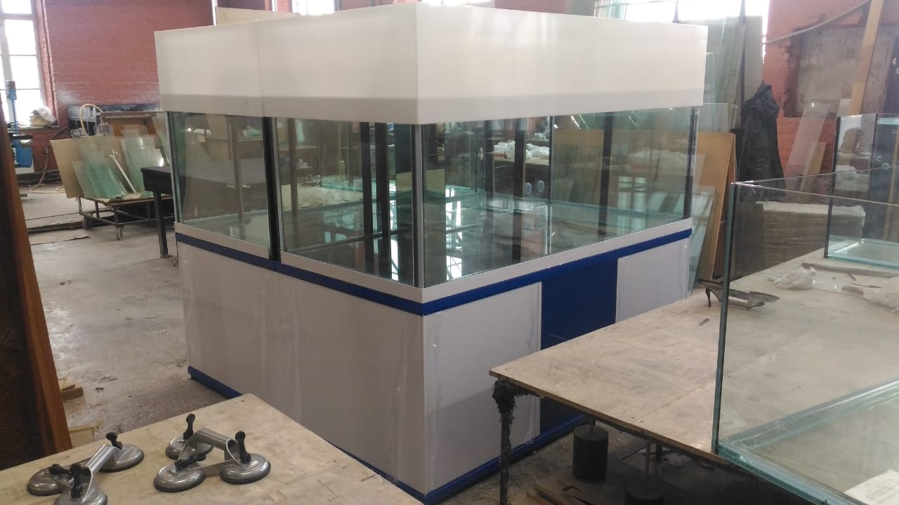 Аквариум и витрины для моллюсков и системы передержки узв для морепродуктов