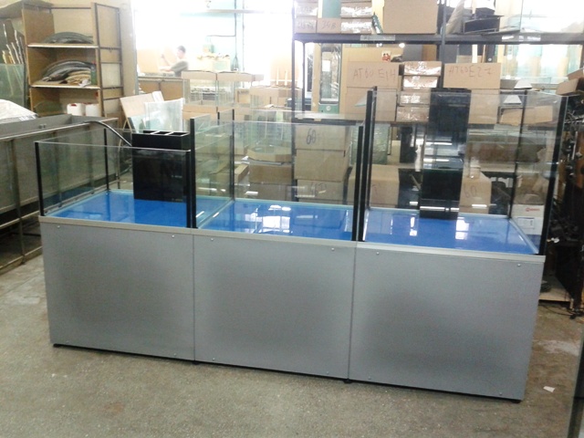 Аквариум и витрины для моллюсков и системы передержки узв для морепродуктов