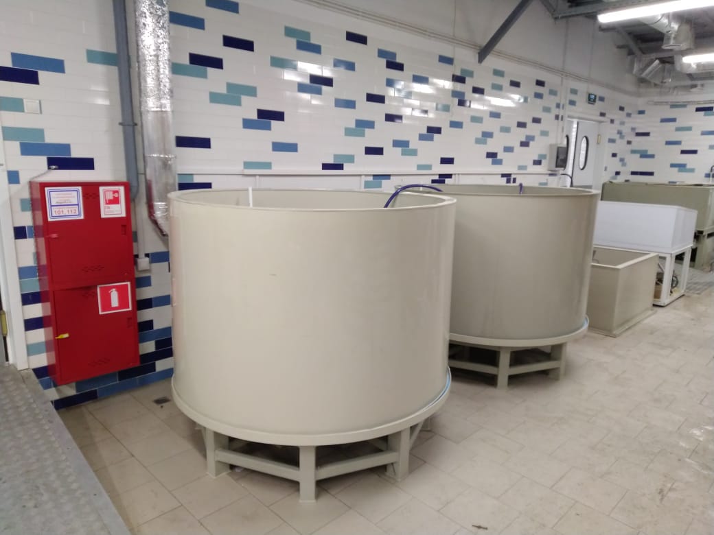 Аквариум и витрины для моллюсков и системы передержки узв для морепродуктов