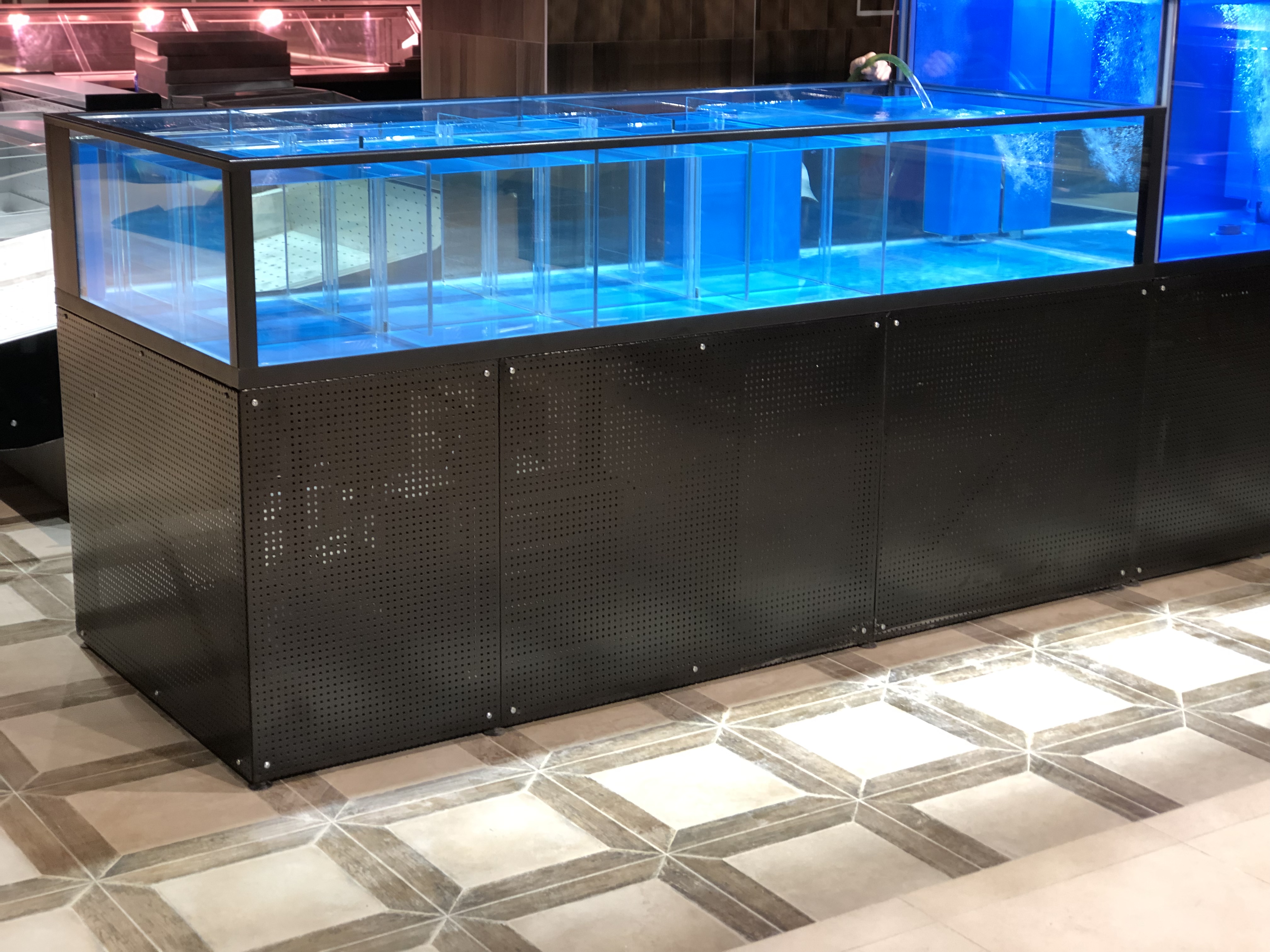 Аквариум и витрины для моллюсков и системы передержки узв для морепродуктов