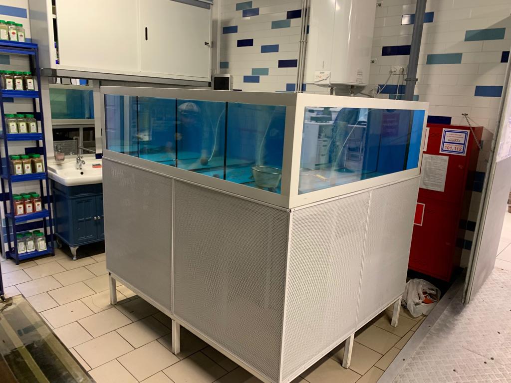 Аквариум и витрины для моллюсков и системы передержки узв для морепродуктов