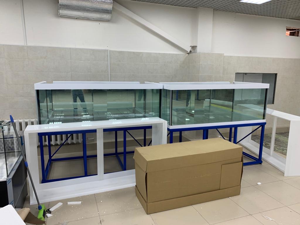 Аквариум и витрины для моллюсков и системы передержки узв для морепродуктов