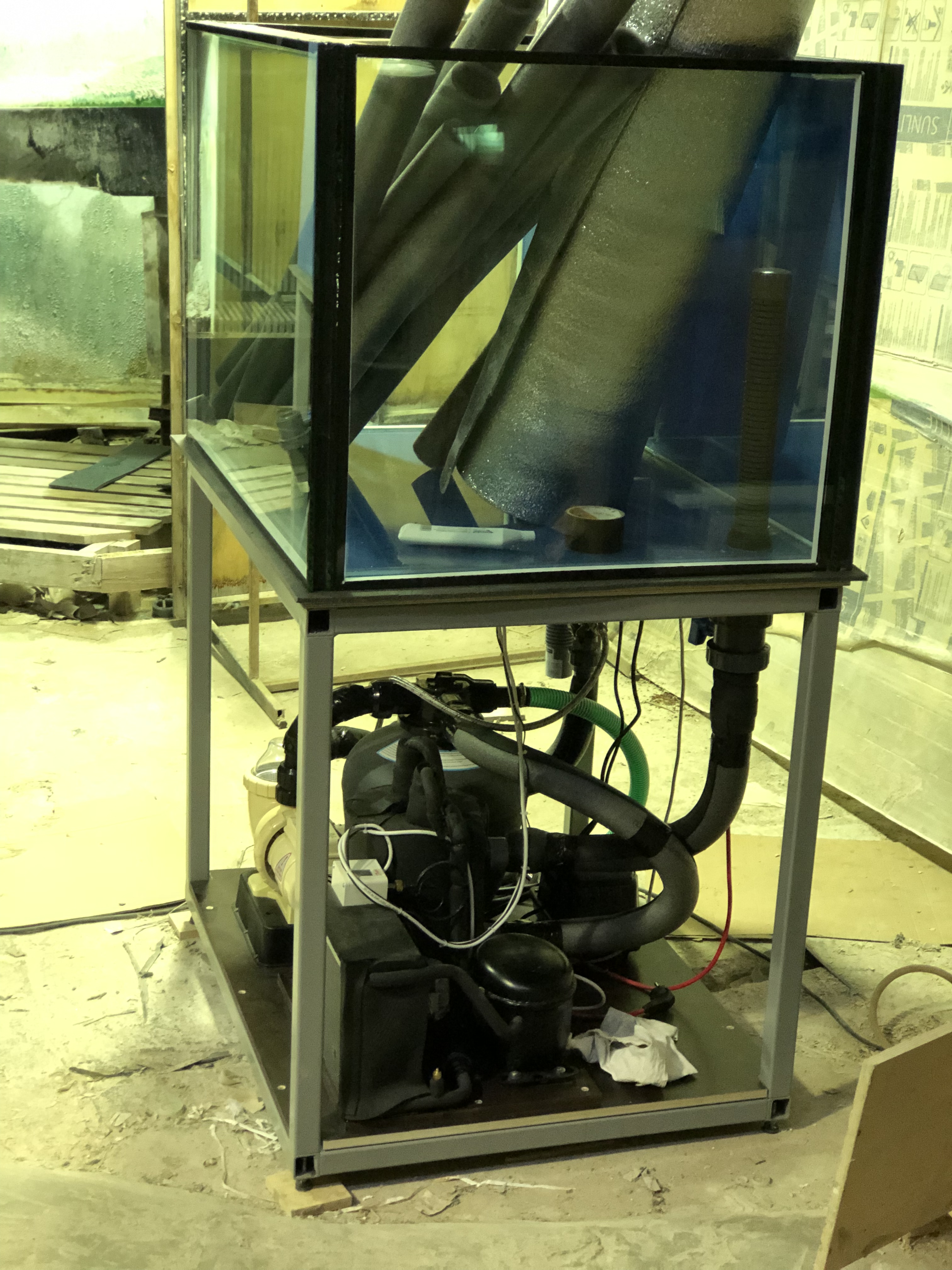 Аквариум и витрины для моллюсков и системы передержки узв для морепродуктов