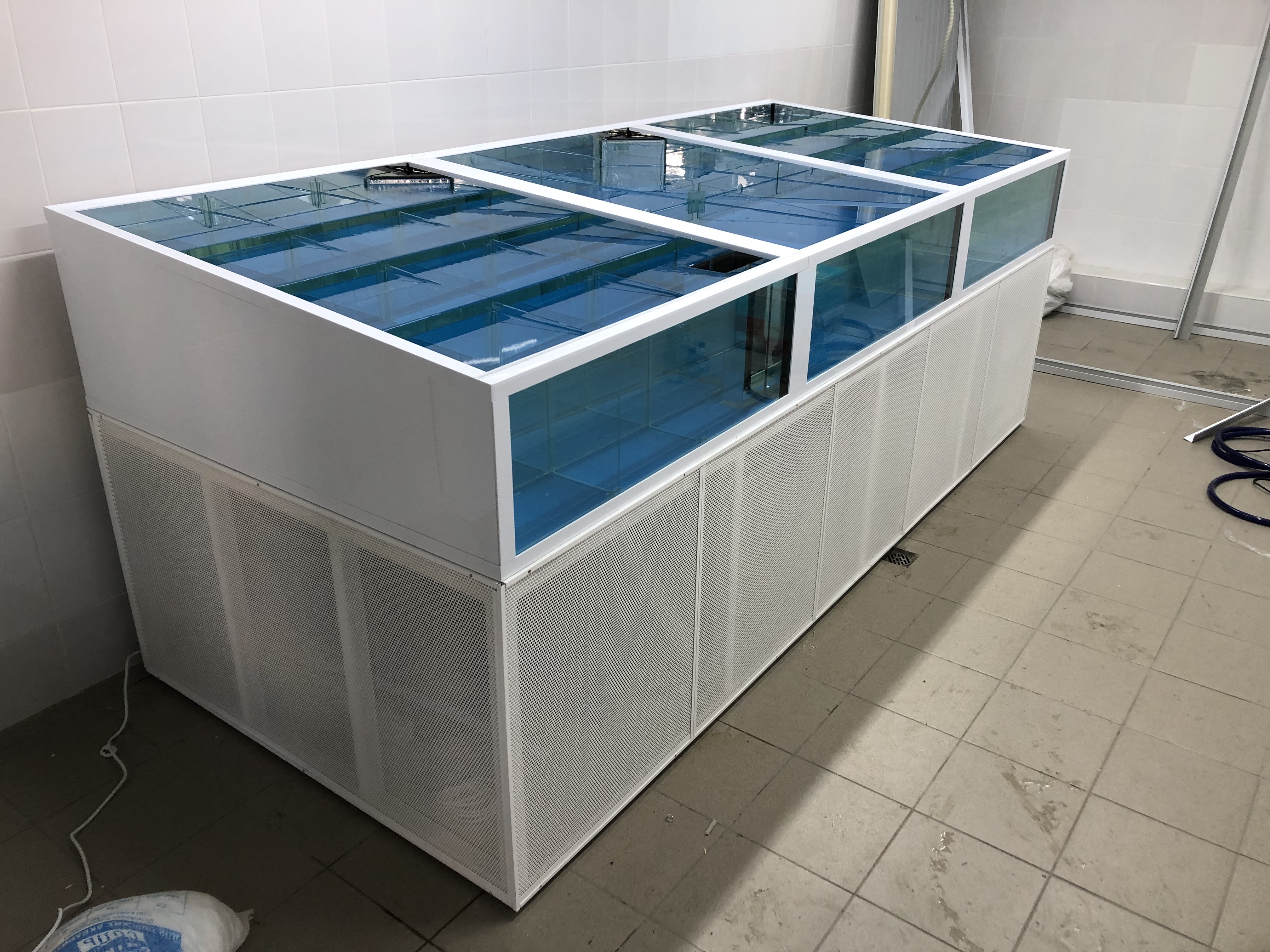 Аквариум и витрины для моллюсков и системы передержки узв для морепродуктов