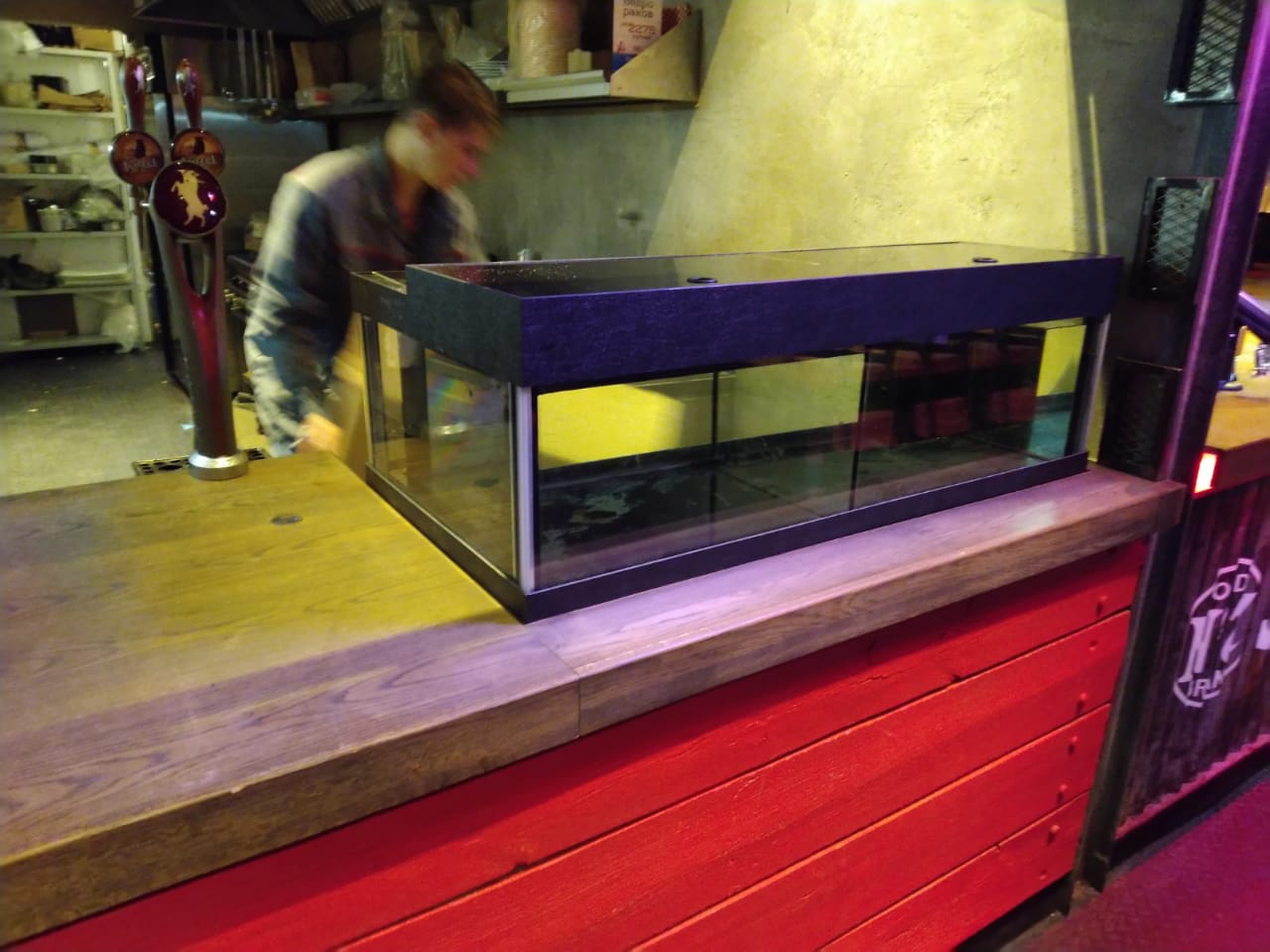 Аквариум и витрины для моллюсков и системы передержки узв для морепродуктов