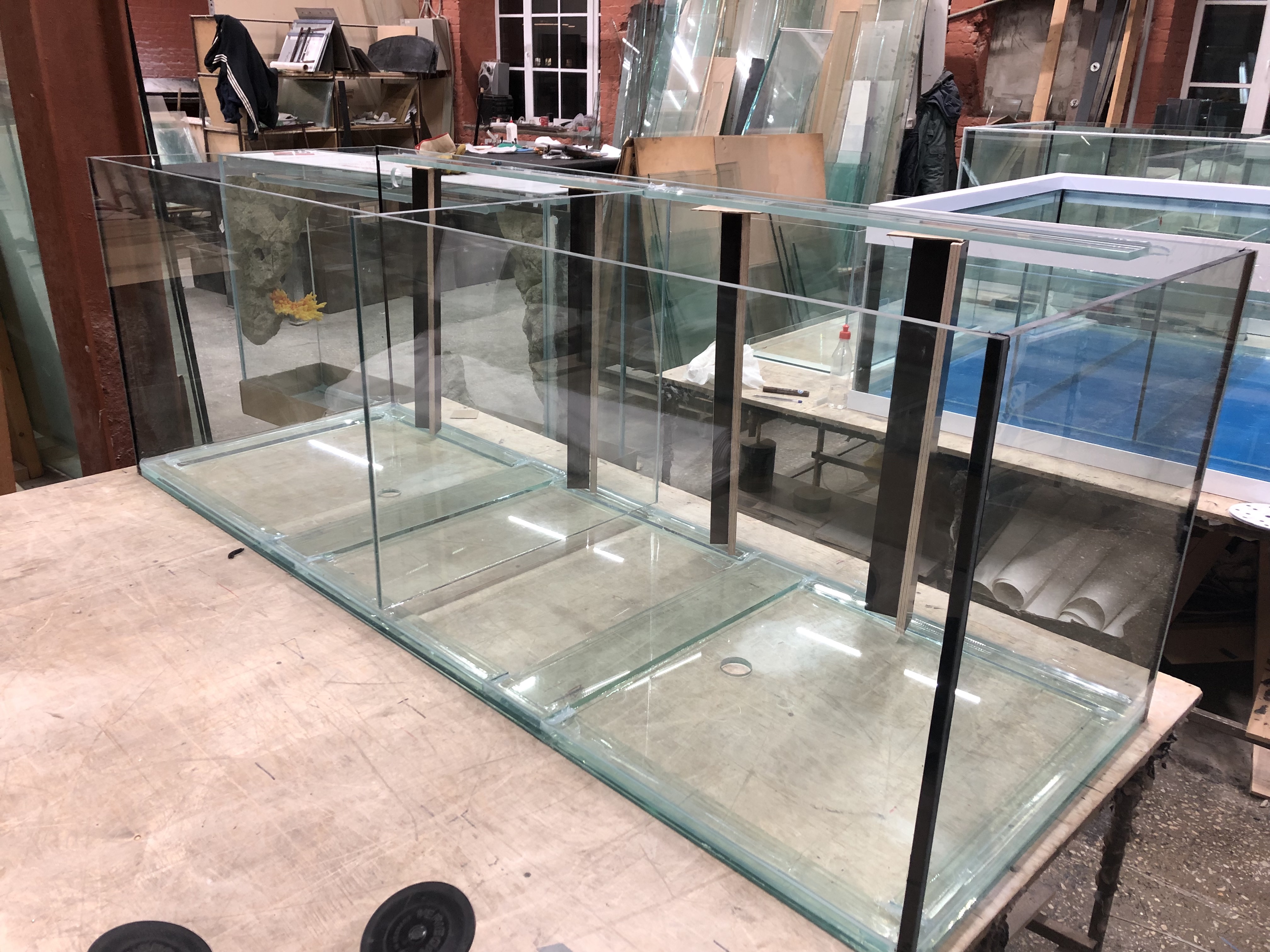 Аквариум и витрины для моллюсков и системы передержки узв для морепродуктов