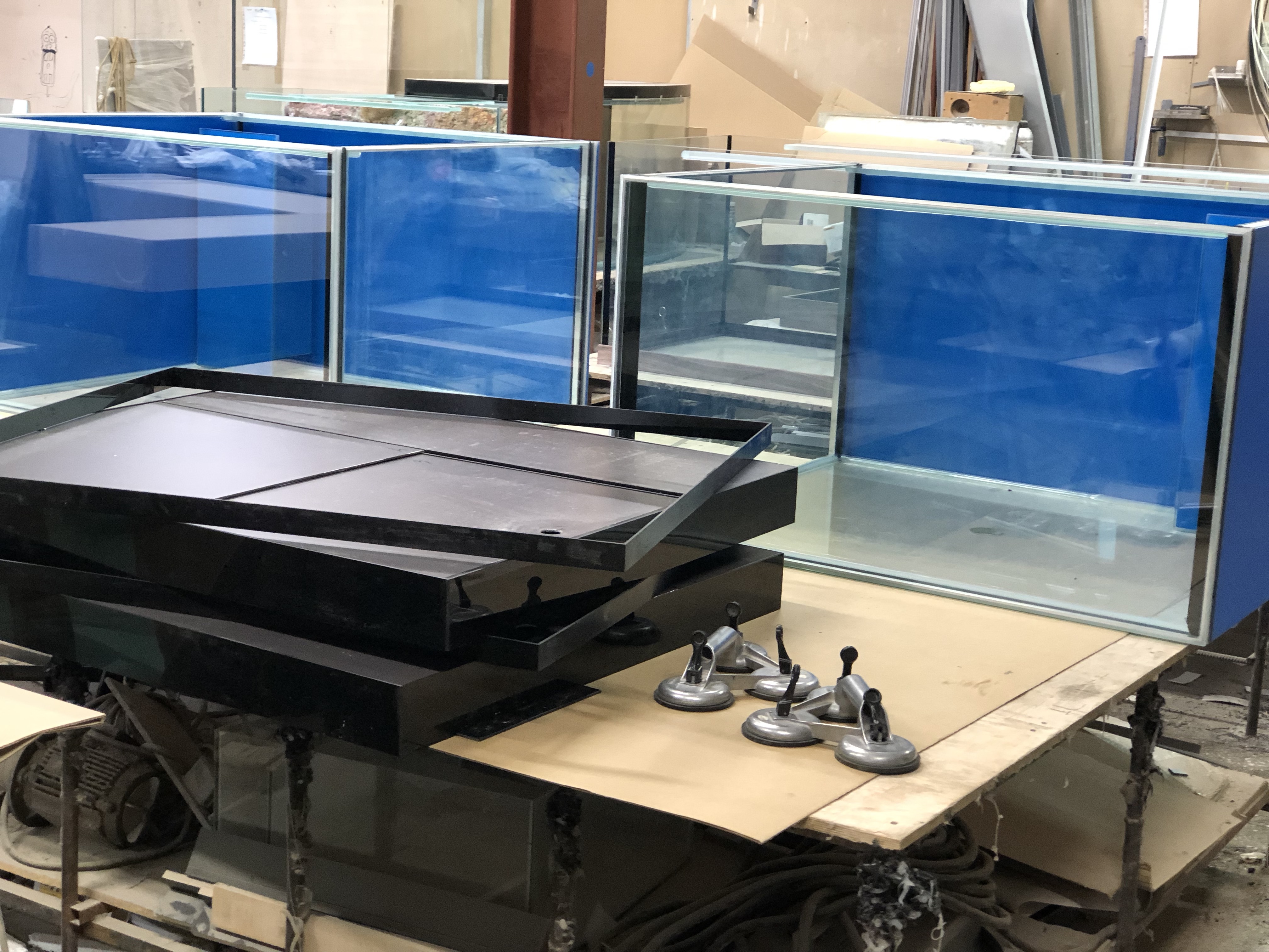 Аквариум и витрины для моллюсков и системы передержки узв для морепродуктов