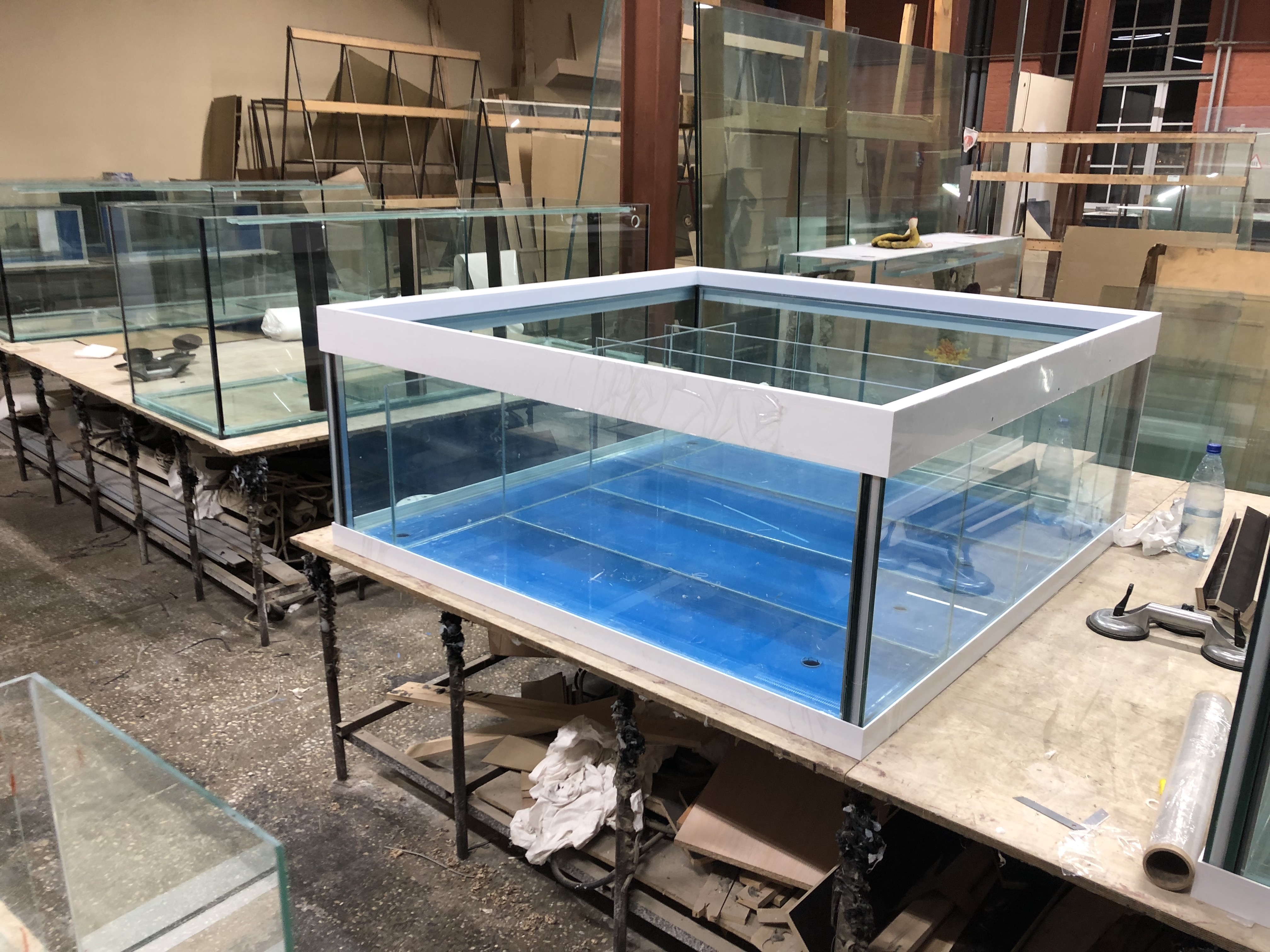 Аквариум и витрины для моллюсков и системы передержки узв для морепродуктов