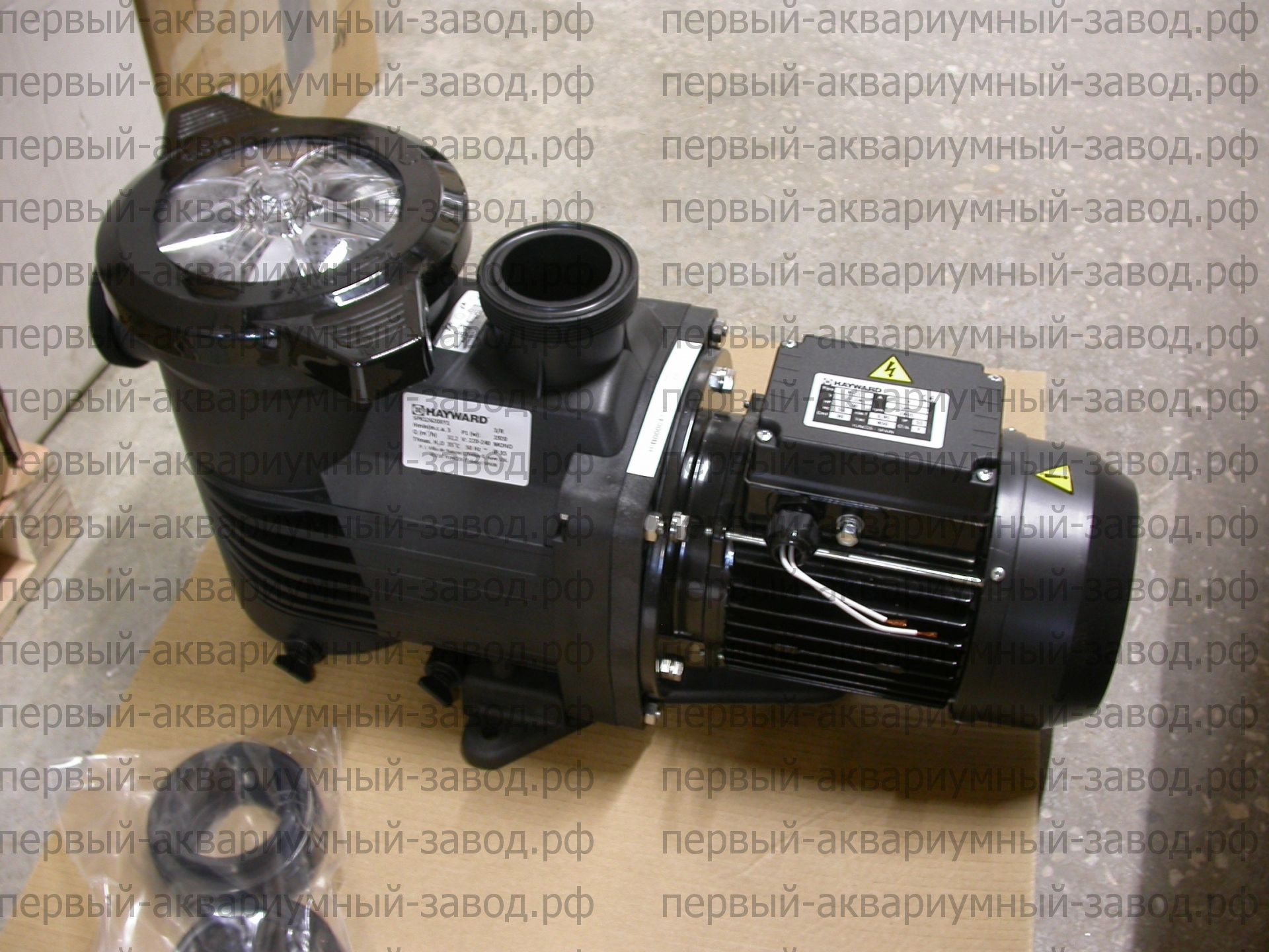 Аквариум и витрины для моллюсков и системы передержки узв для морепродуктов