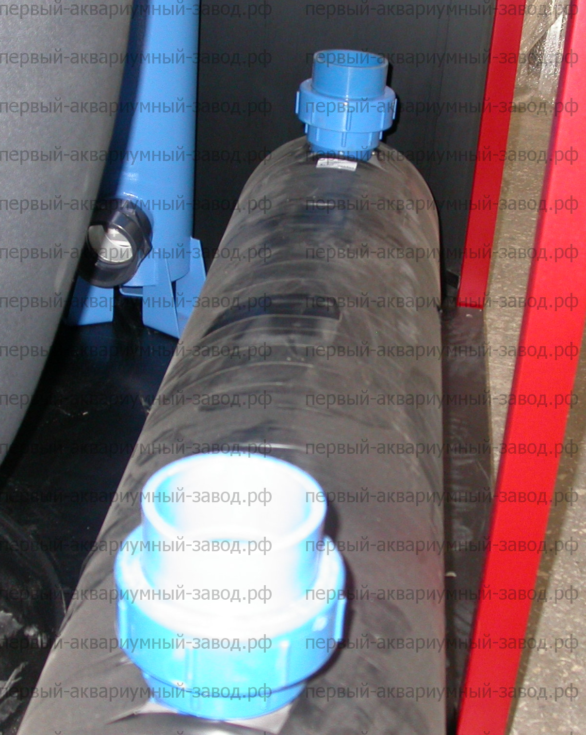 Аквариум и витрины для моллюсков и системы передержки узв для морепродуктов