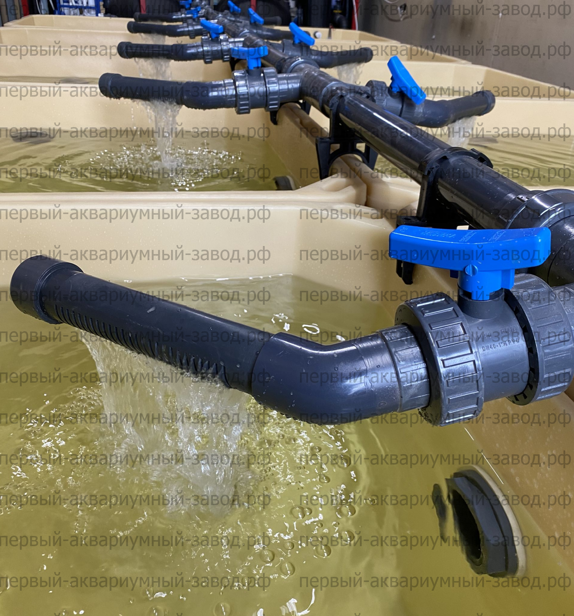 Аквариум и витрины для моллюсков и системы передержки узв для морепродуктов