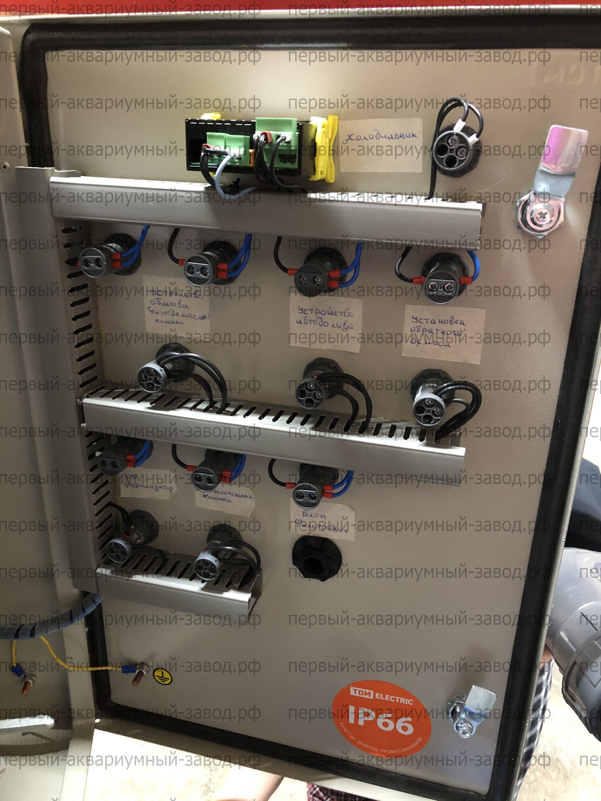 Аквариум и витрины для моллюсков и системы передержки узв для морепродуктов