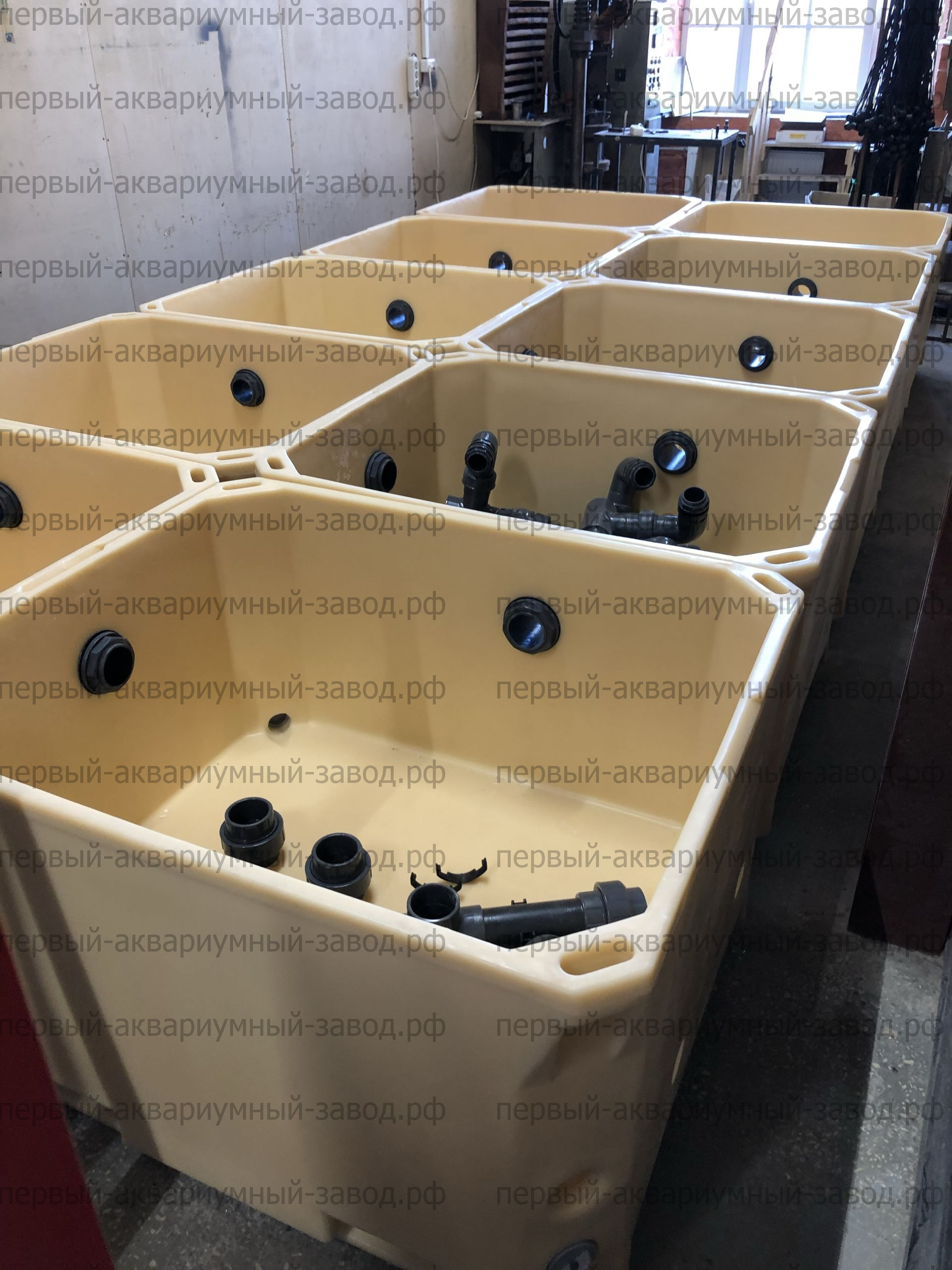 Аквариум и витрины для моллюсков и системы передержки узв для морепродуктов