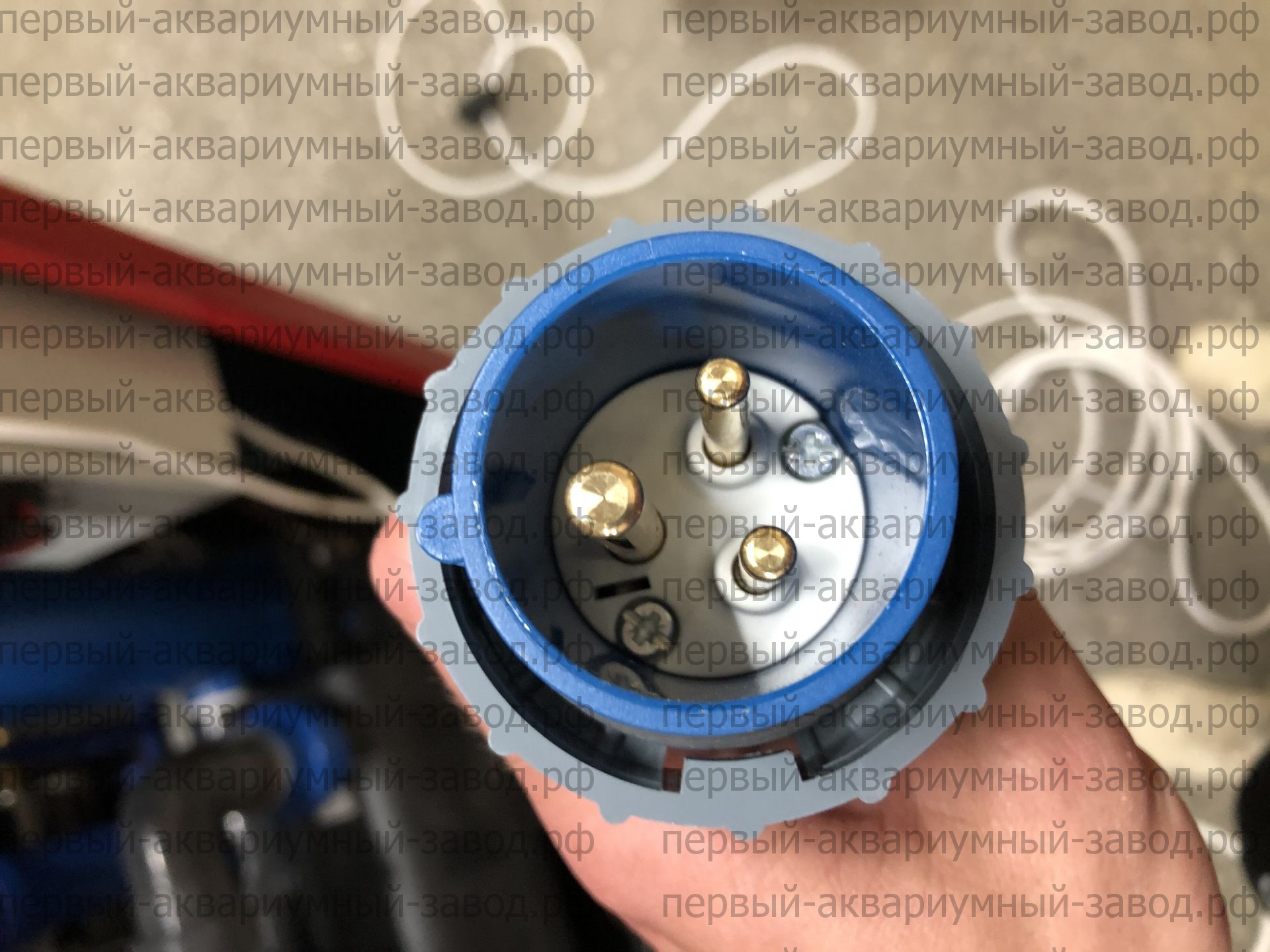 Аквариум и витрины для моллюсков и системы передержки узв для морепродуктов