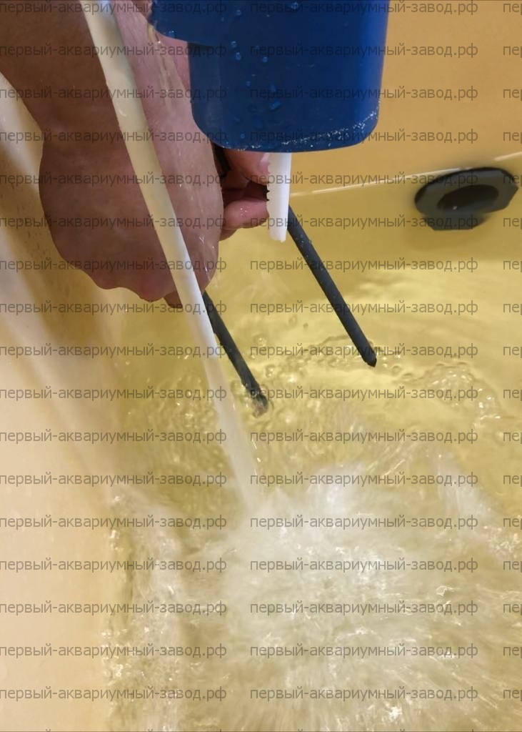 Аквариум и витрины для моллюсков и системы передержки узв для морепродуктов