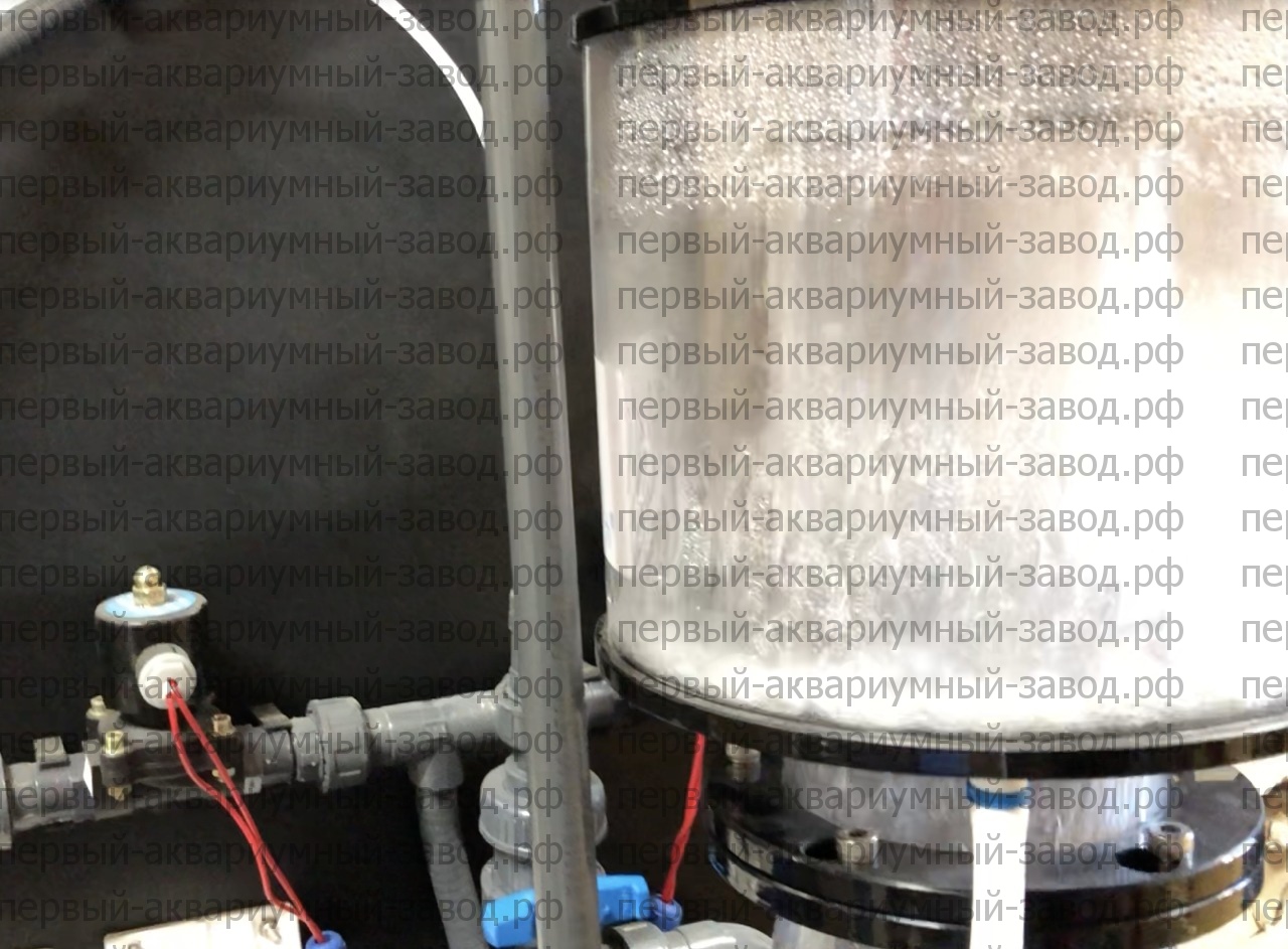 Аквариум и витрины для моллюсков и системы передержки узв для морепродуктов