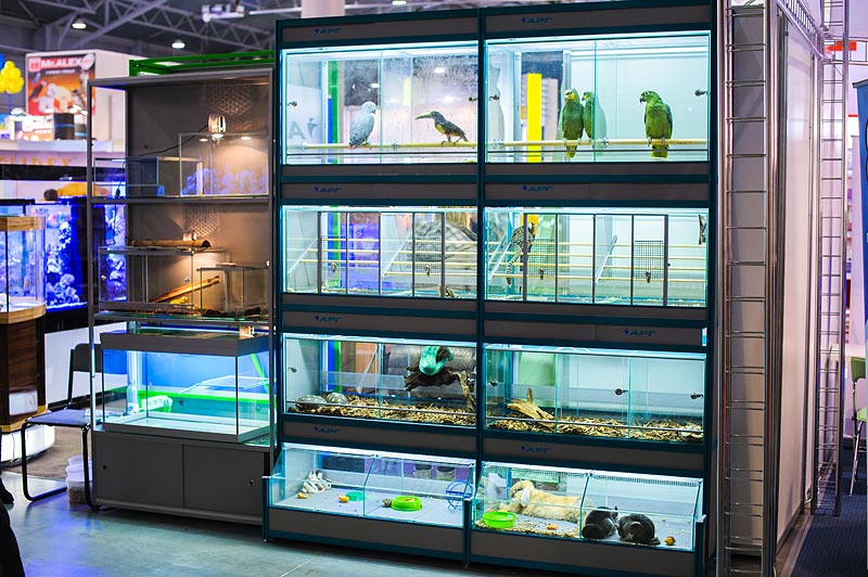 Стандартная 2х секционная четырёхъярусная стойка для содержания и продажи животных и птиц