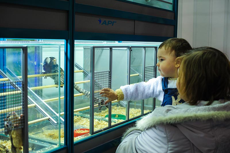 Секции малого птичника