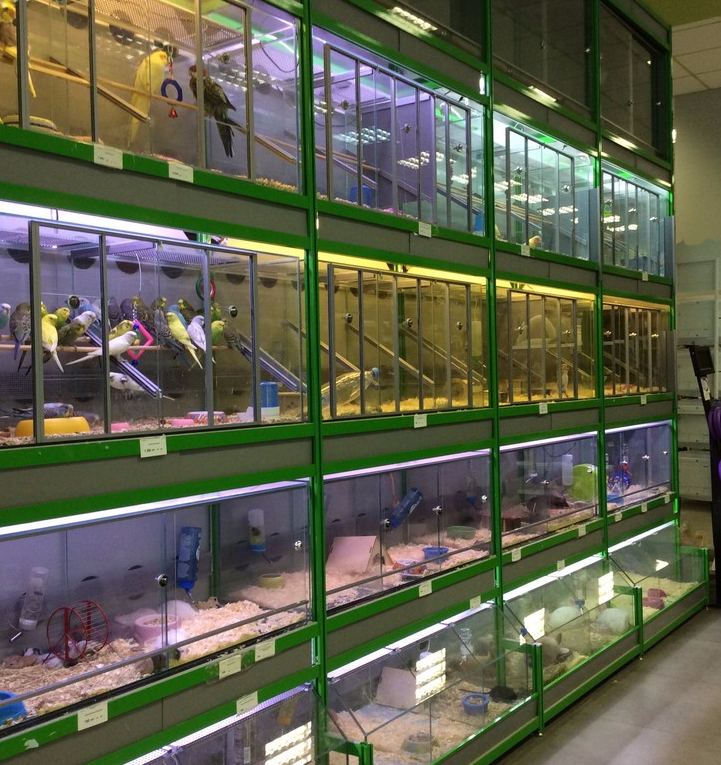 4 х секционная четырёхъярусная стойка для содержания животных и птиц.