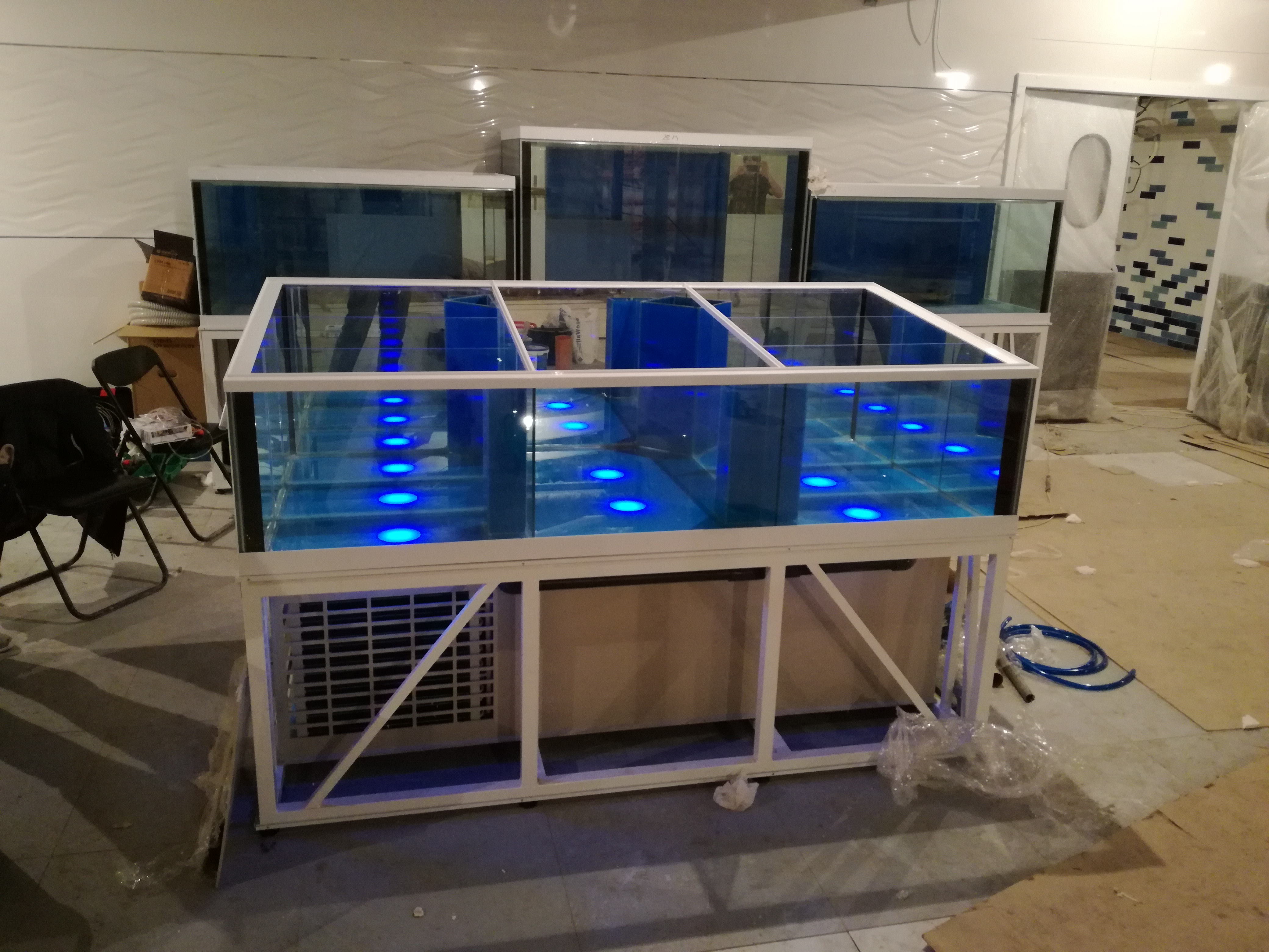 Аквариум и витрины для моллюсков и системы передержки узв для морепродуктов