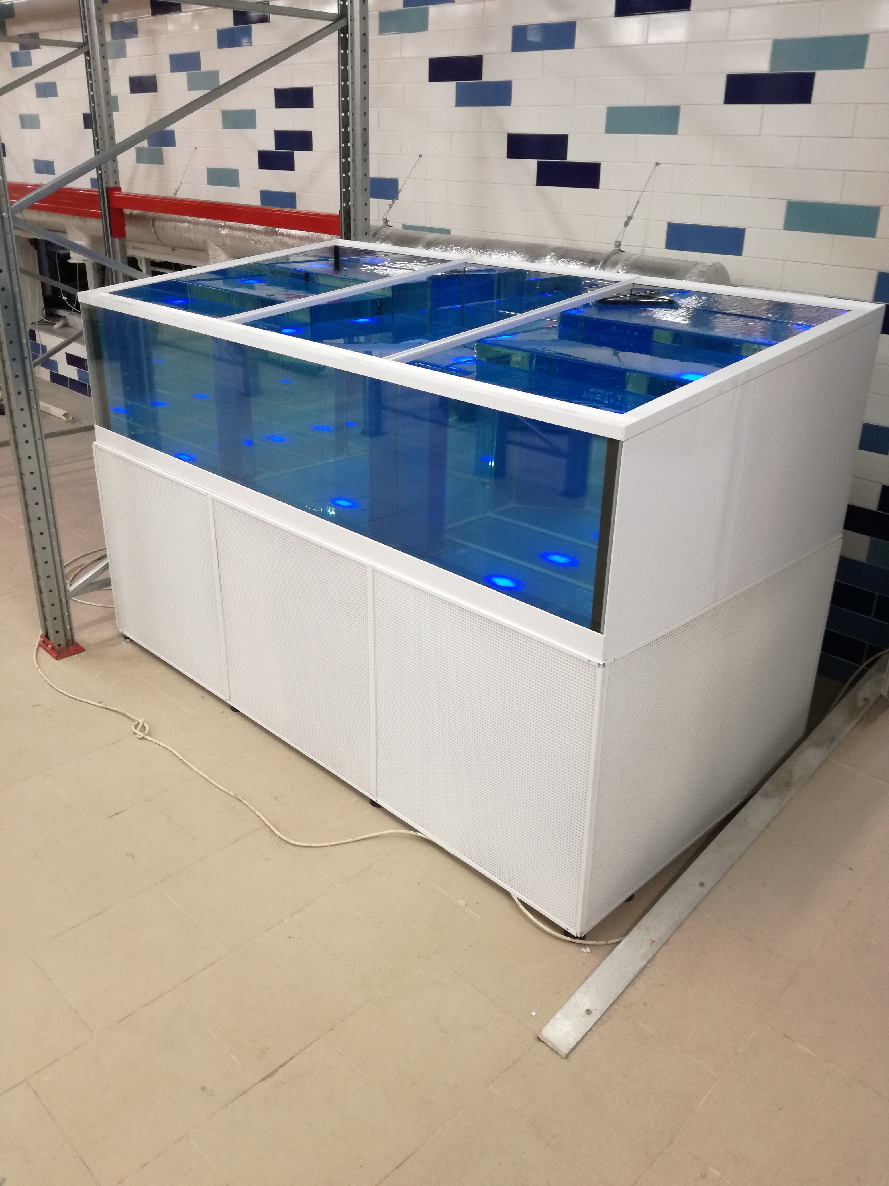 Аквариум и витрины для моллюсков и системы передержки узв для морепродуктов