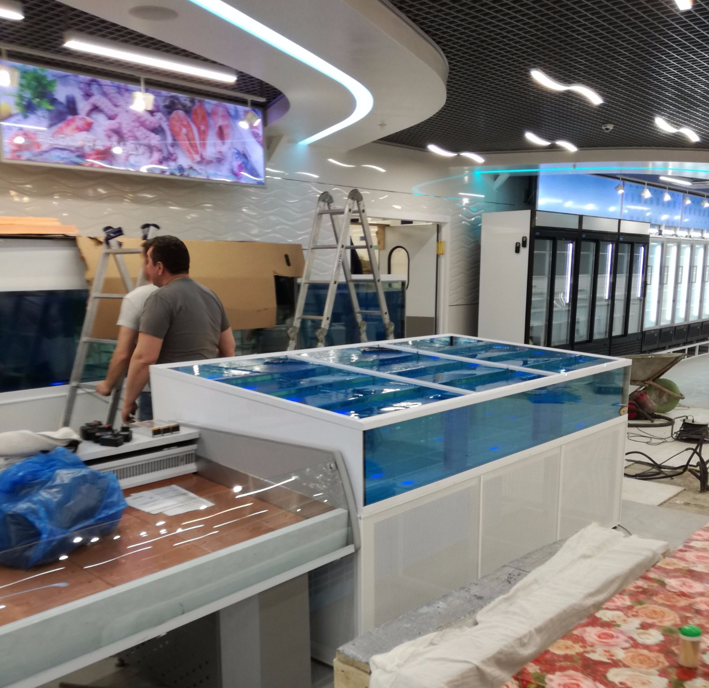 Аквариум и витрины для моллюсков и системы передержки узв для морепродуктов