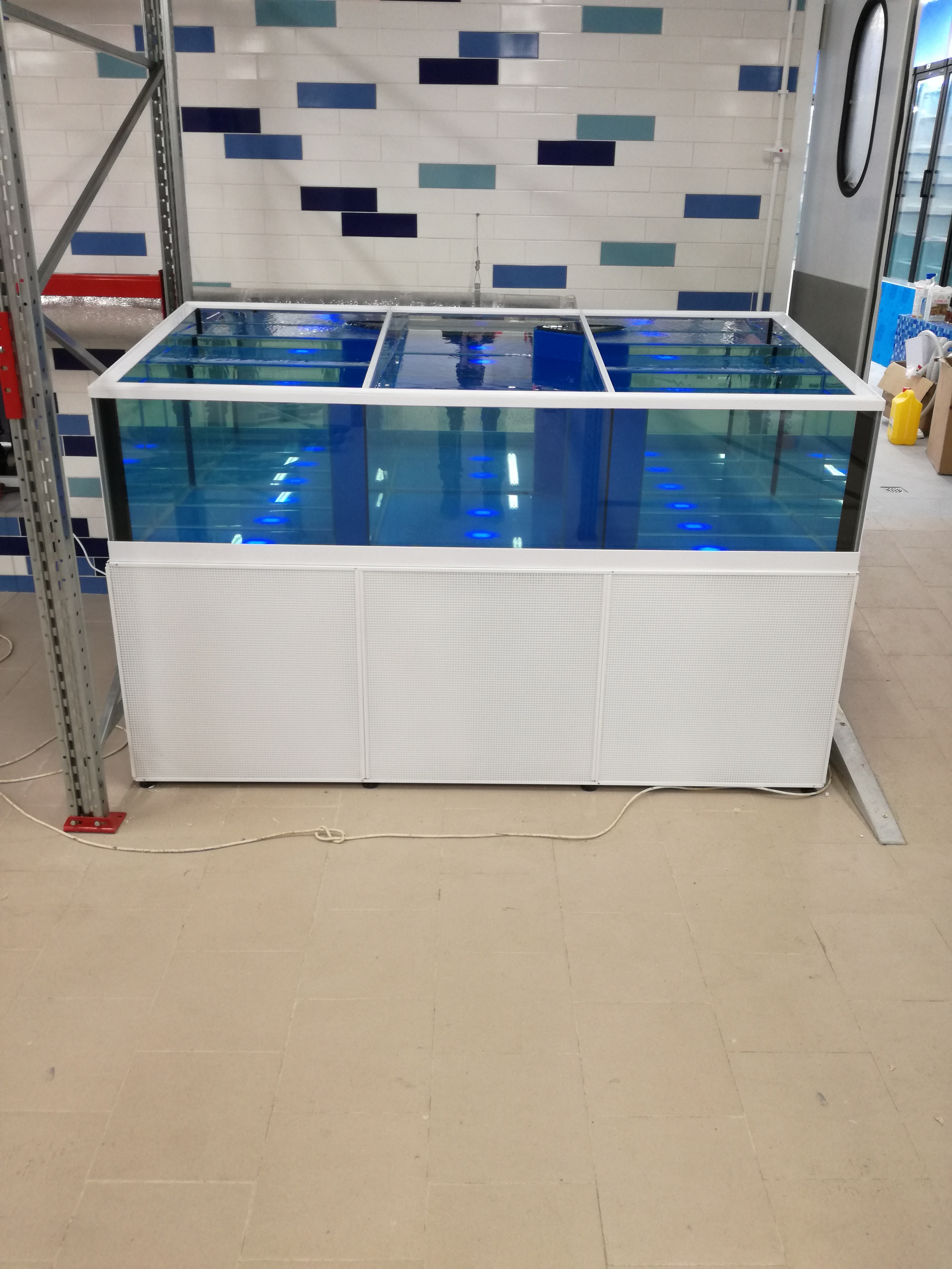 Аквариум и витрины для моллюсков и системы передержки узв для морепродуктов