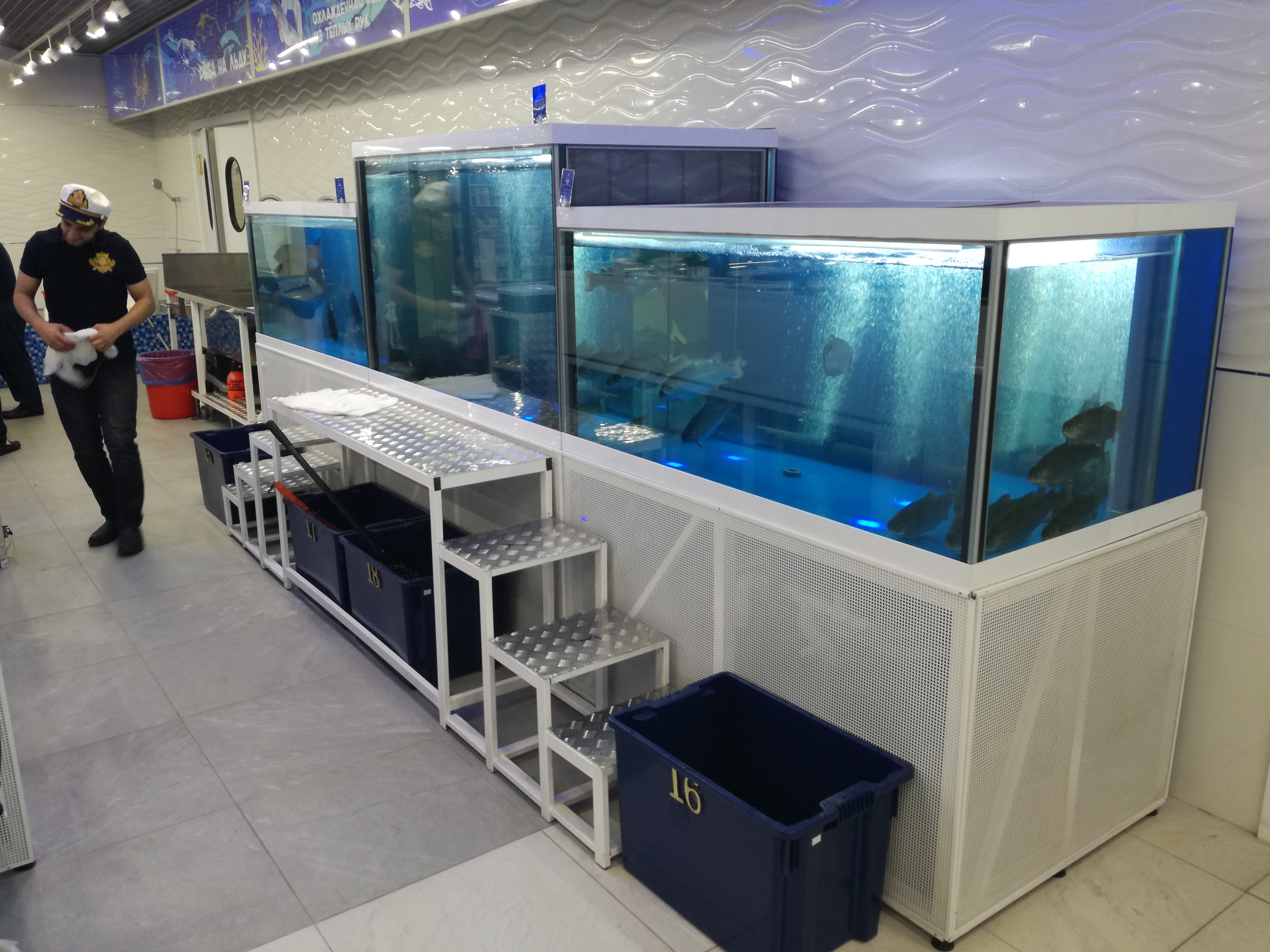 Аквариум и витрины для моллюсков и системы передержки узв для морепродуктов