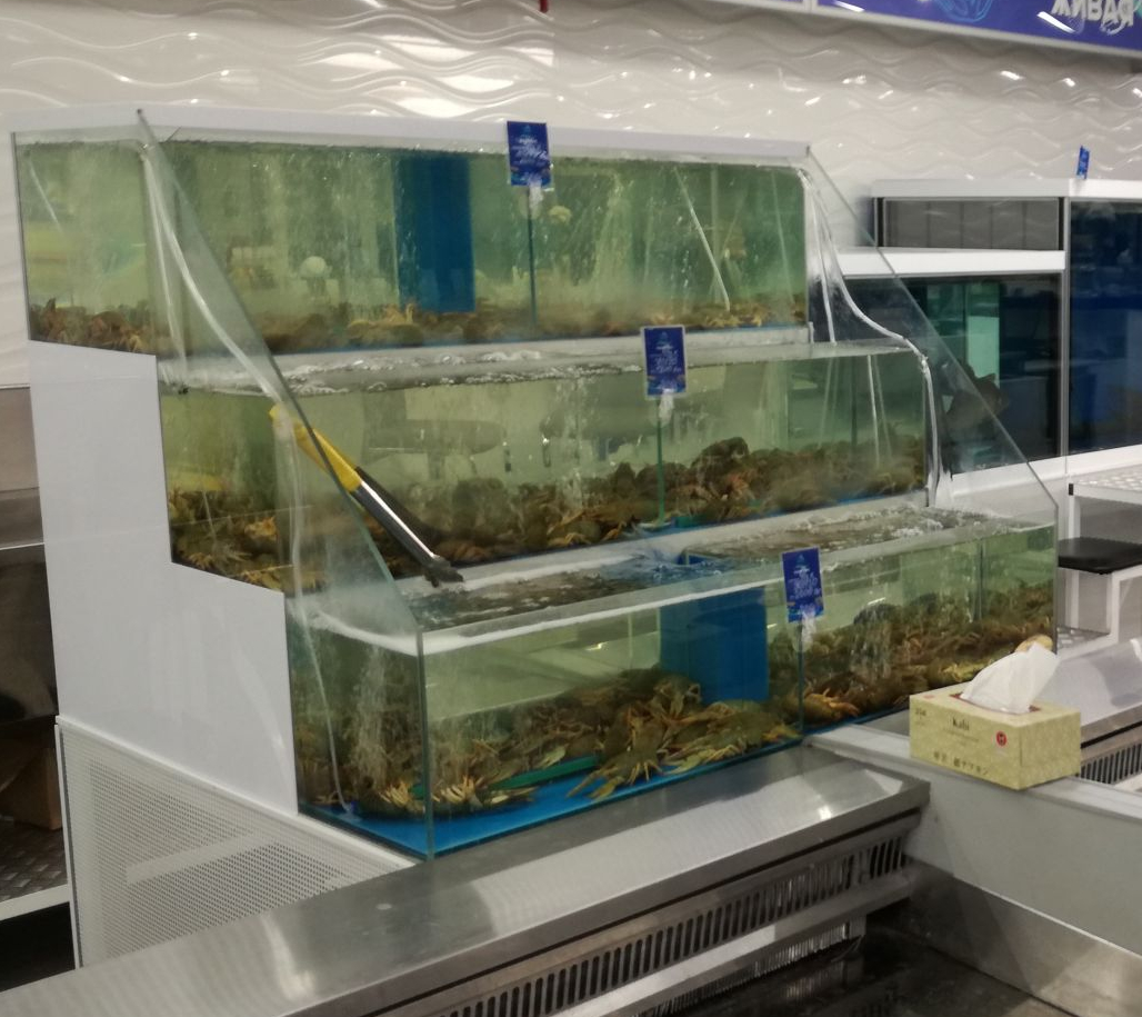 Аквариум и витрины для моллюсков и системы передержки узв для морепродуктов