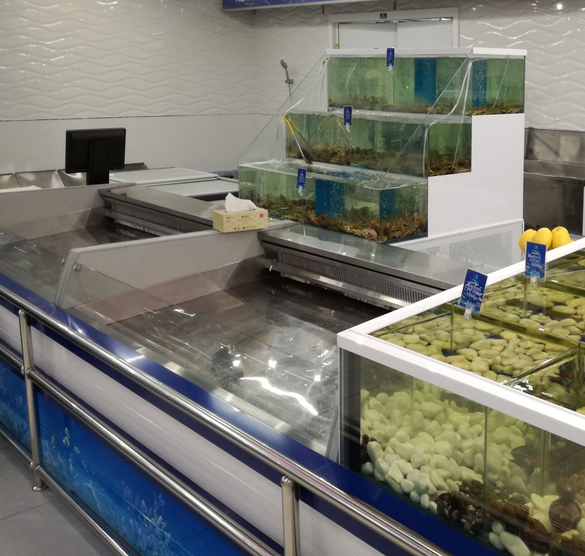 Аквариум и витрины для моллюсков и системы передержки узв для морепродуктов