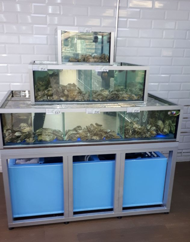 Аквариум и витрины для моллюсков и системы передержки узв для морепродуктов